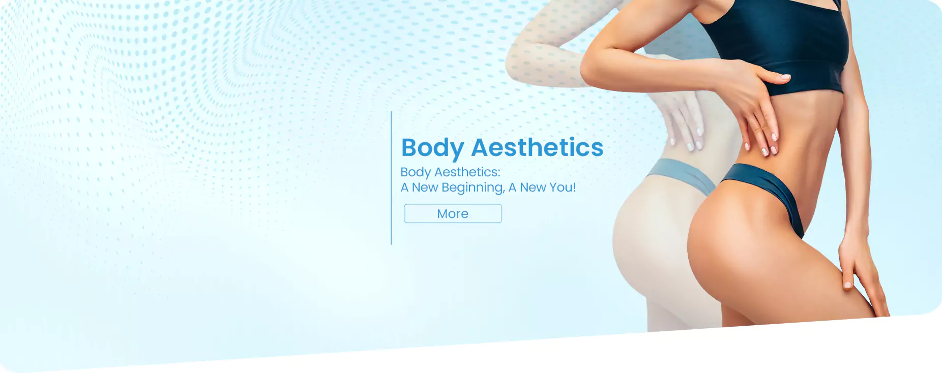 body-web